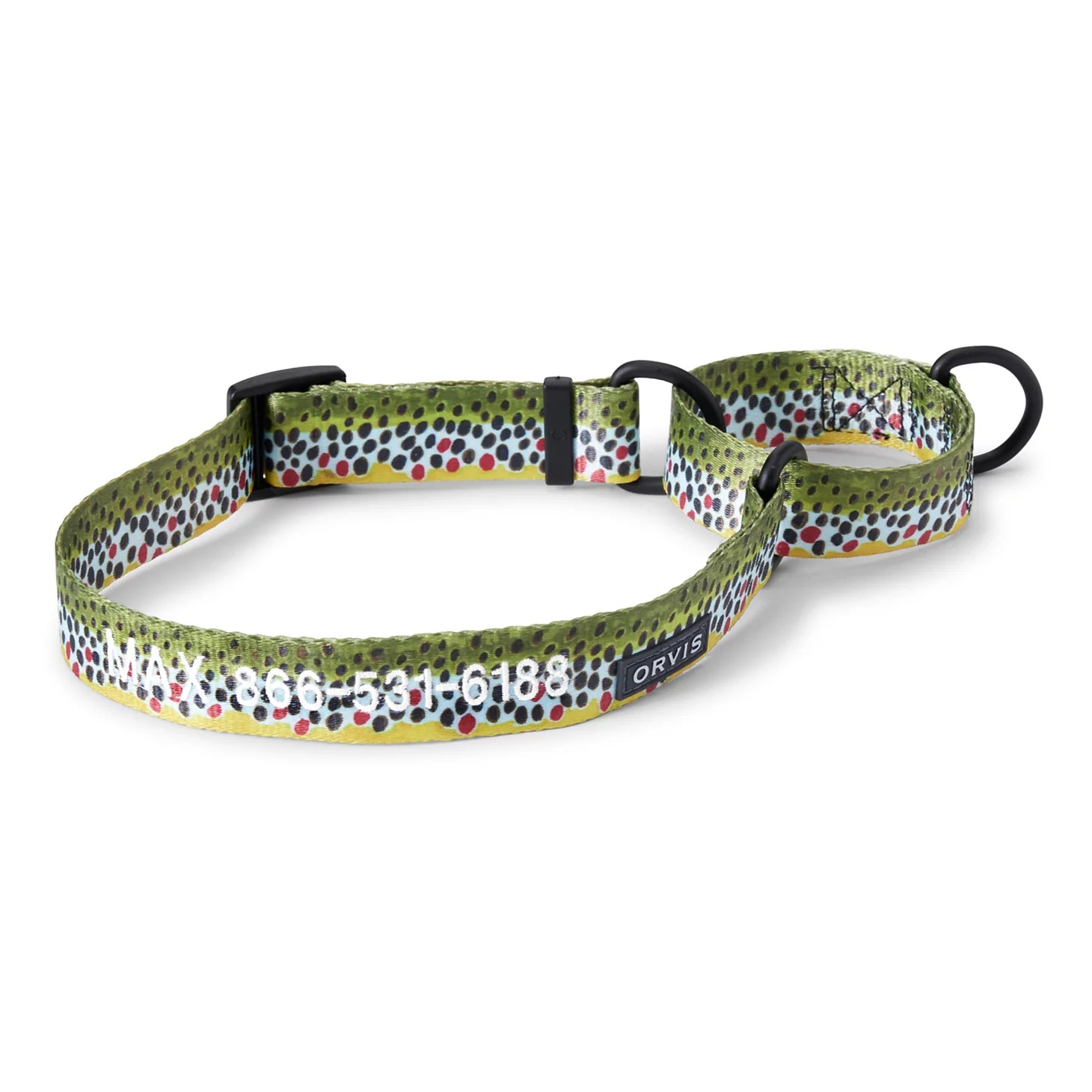Orvis | Orvis Personalized Martingale Dog Collar