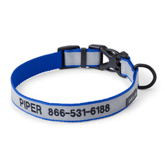 Orvis | Orvis Reflective Collar & Leash Bundle