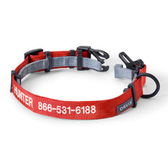 Orvis | Orvis Personalized Flea & Tick Compatible Dog Collar