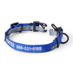 Orvis | Orvis Personalized Flea & Tick Compatible Dog Collar