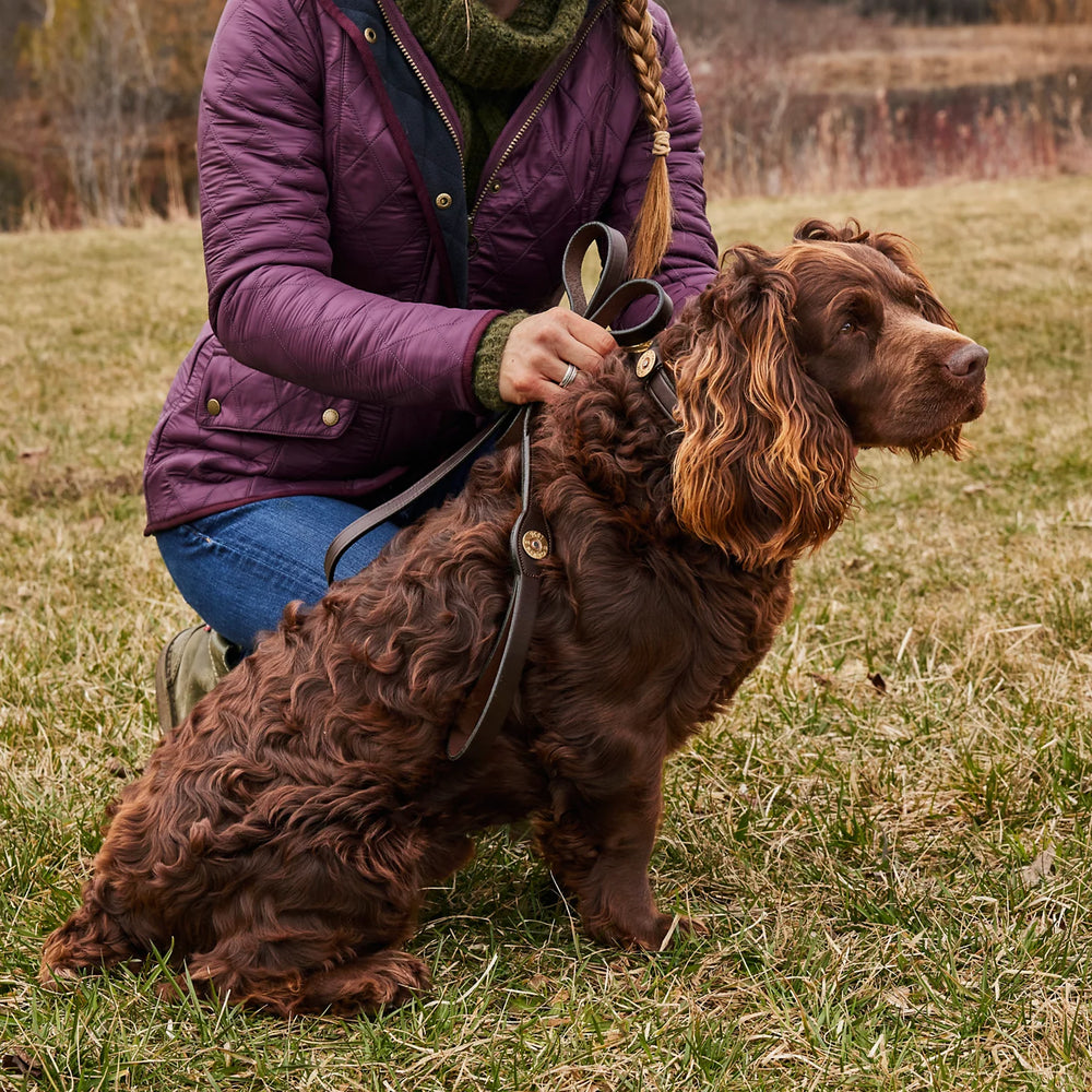 Orvis | Shotshell Dog Collar