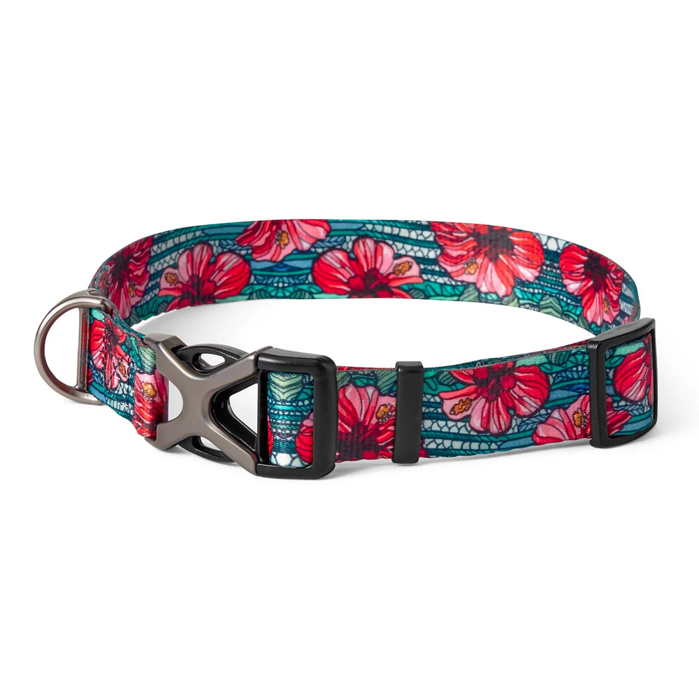 Orvis | Orvis x Fishe® Wear Collar