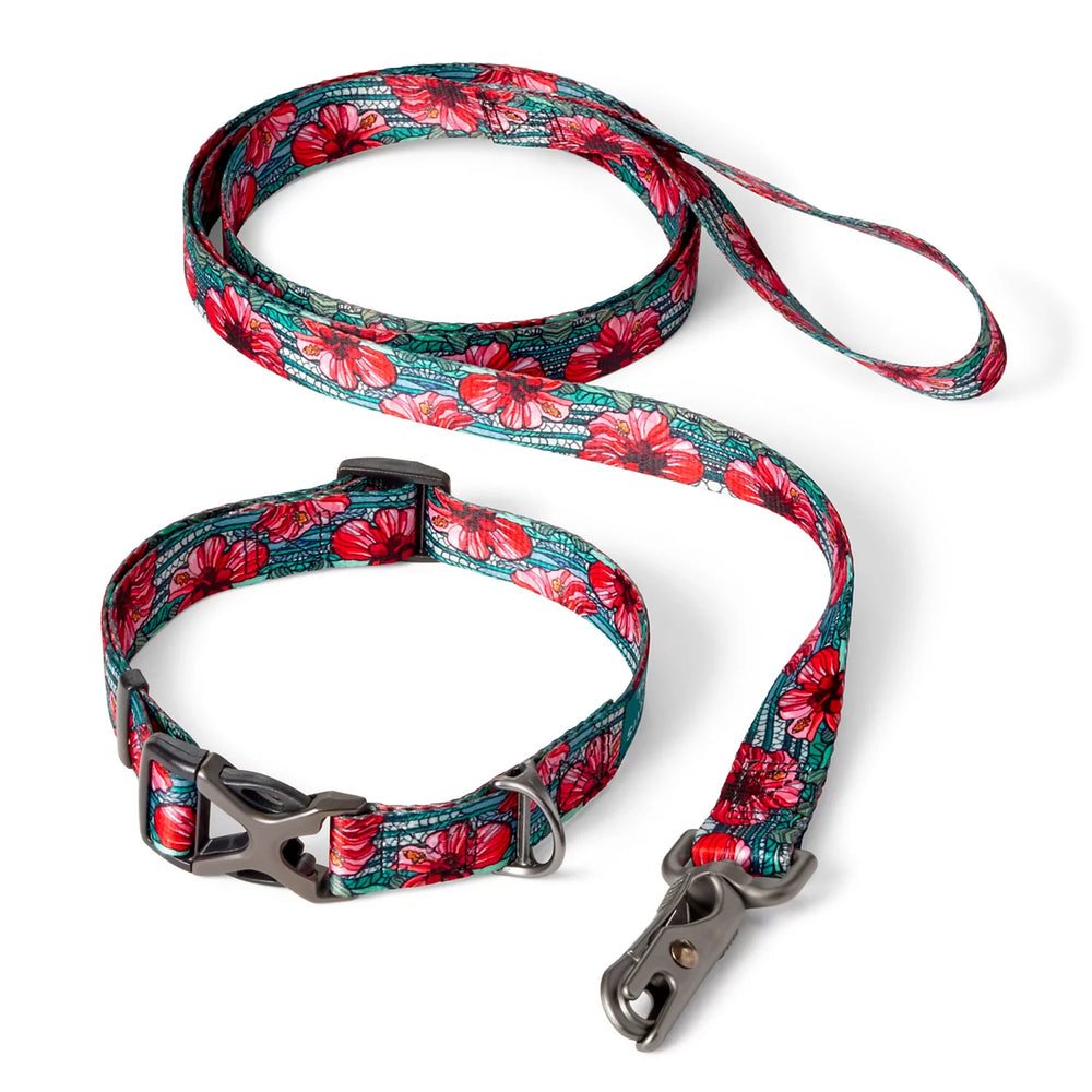 Orvis | Orvis x Fishe® Wear Collar