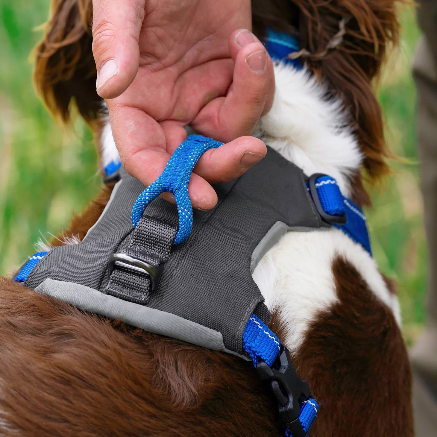 Orvis | Tough Trail® Four-Point Dog Harness