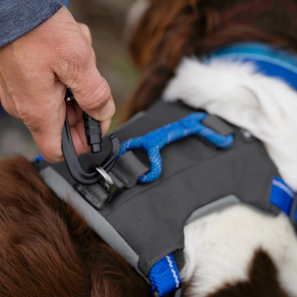Orvis | Tough Trail® Four-Point Dog Harness