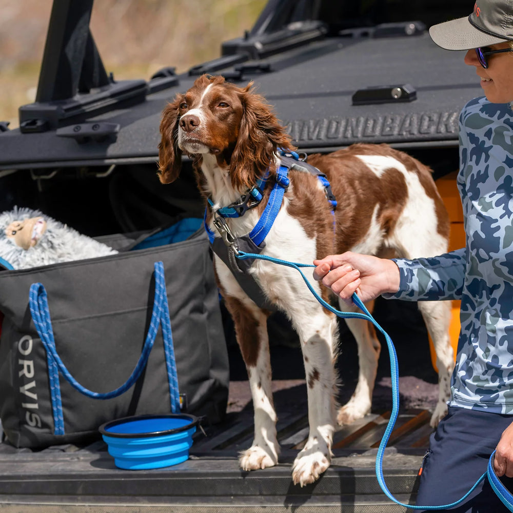 Orvis | Tough Trail® Four-Point Dog Harness