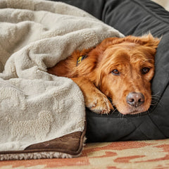 Orvis | Embossed Sherpa Throw