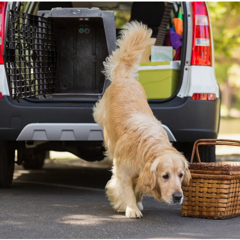 Orvis | Ruff Land™ Performance Dog Kennel