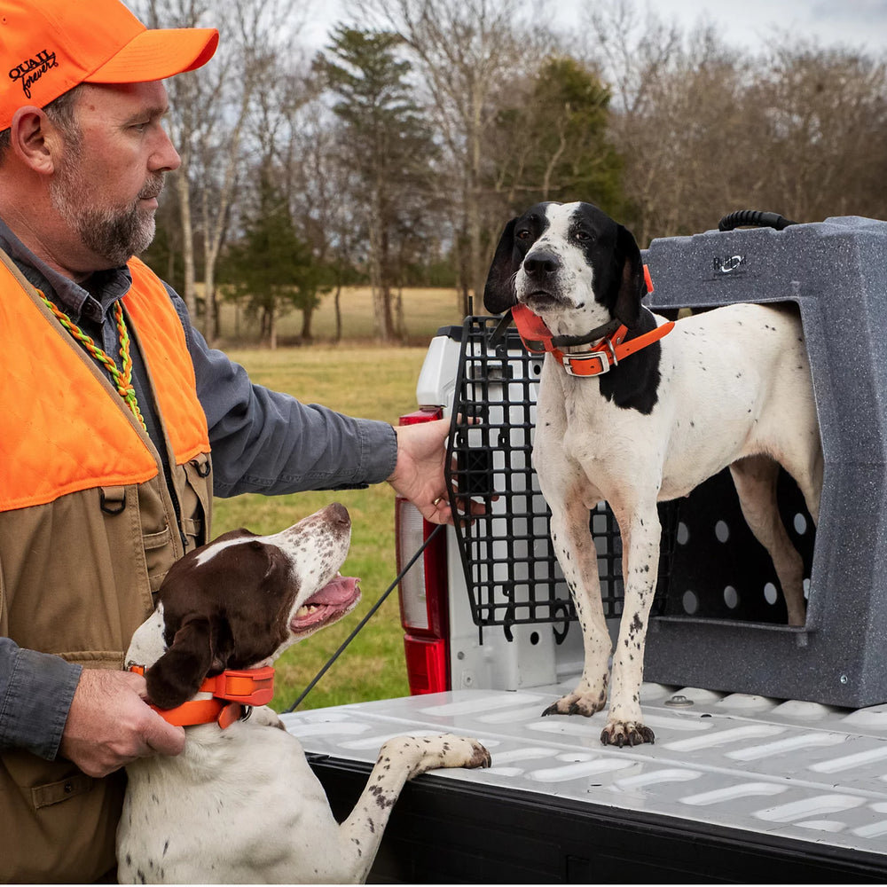 Orvis | Ruff Land™ Performance Dog Kennel