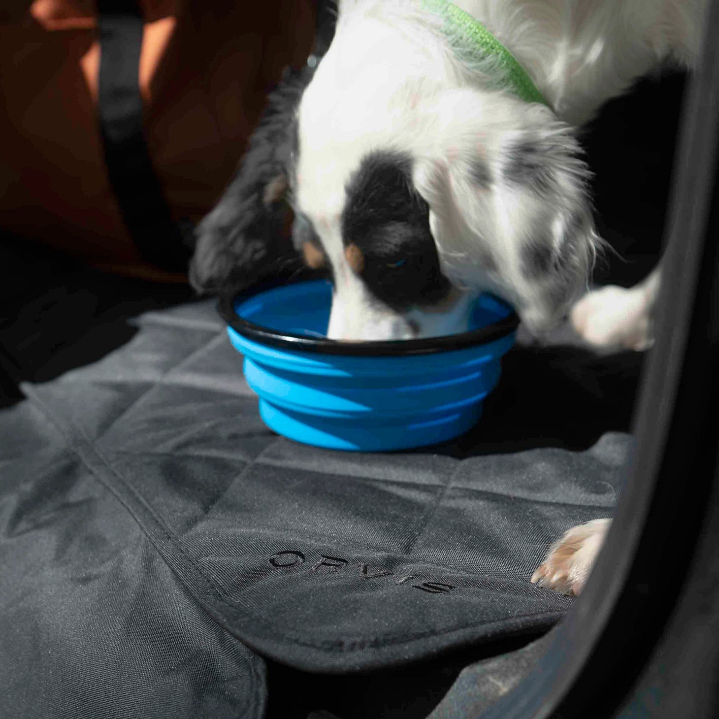 Orvis | Tough Trail® Collapsible Dog Bowl