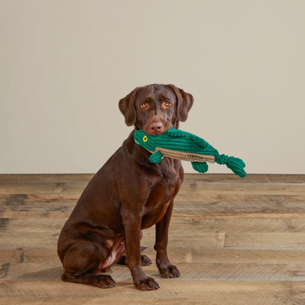 Orvis | Animal Squeaky Toys