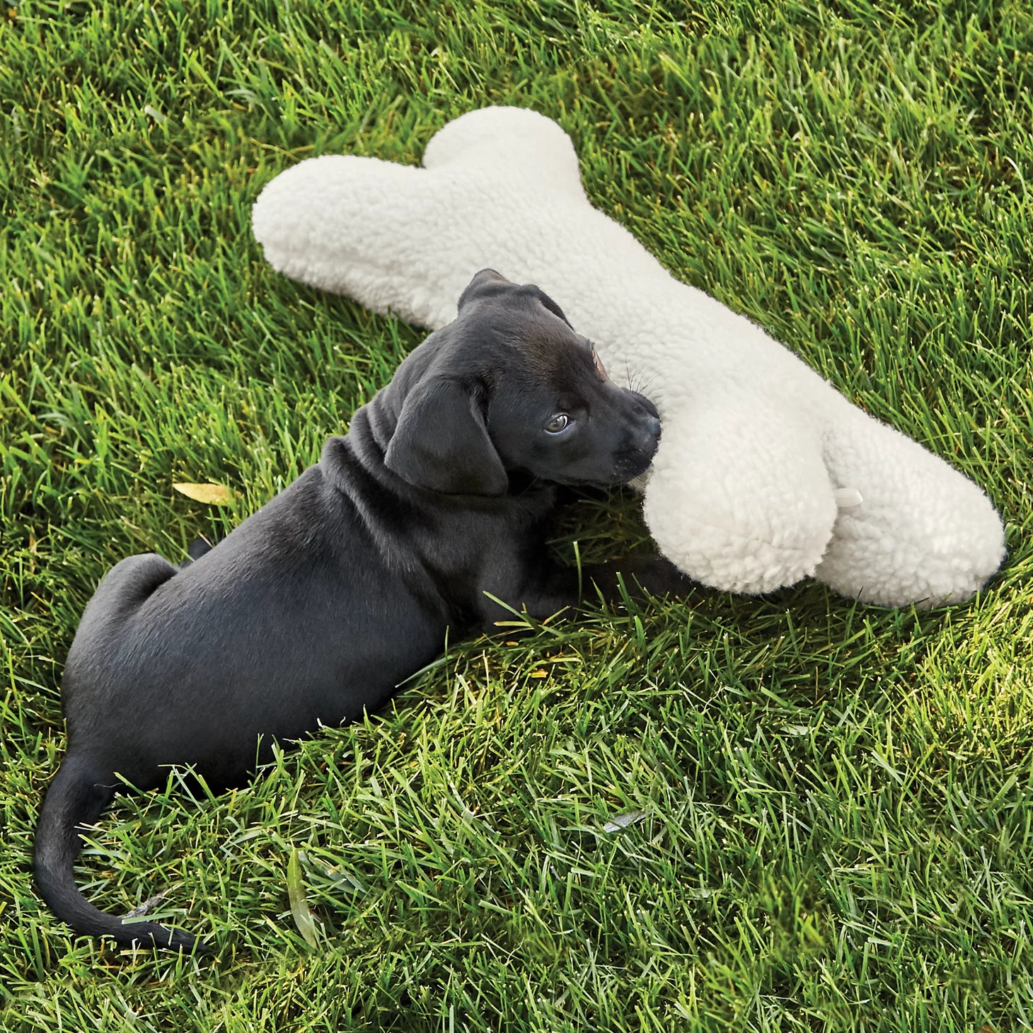 Orvis | Fleece Dog Bone