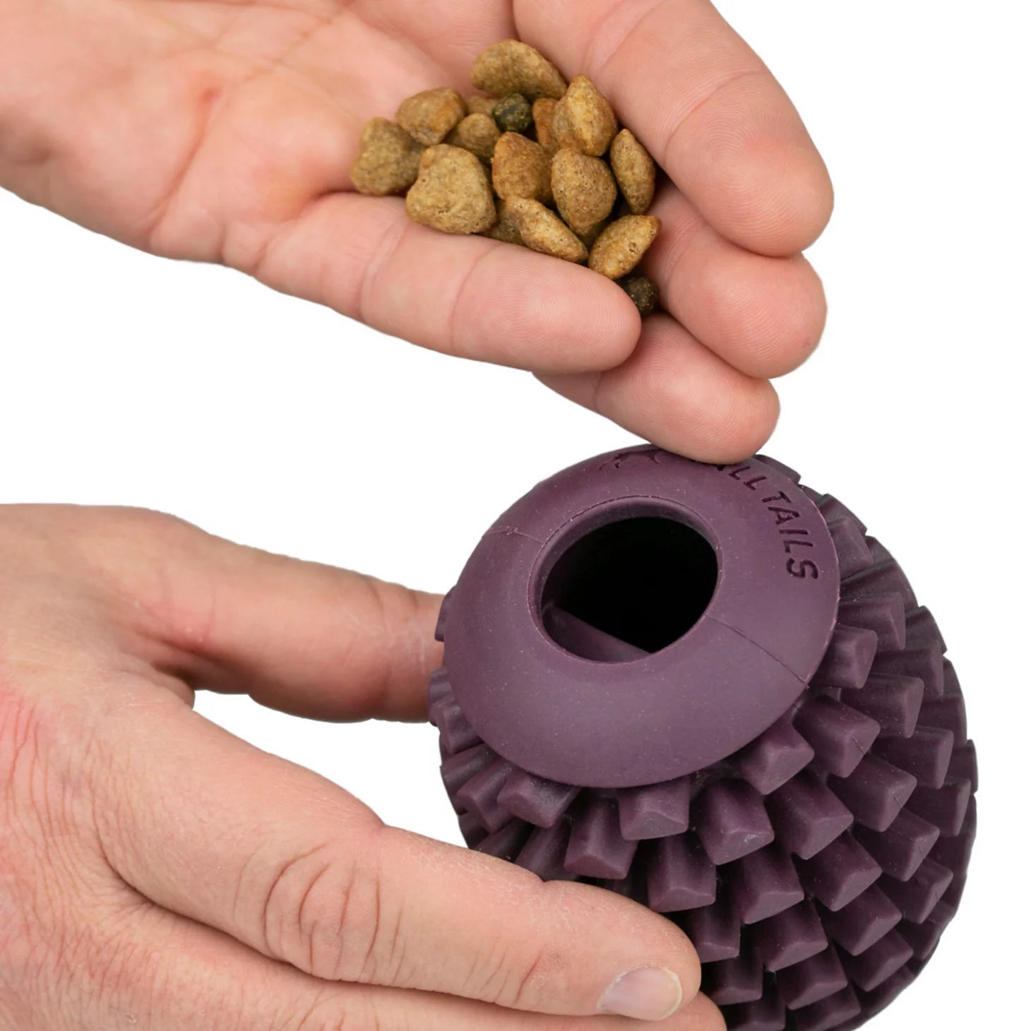 Orvis | Pinecone Reward Dog Toy