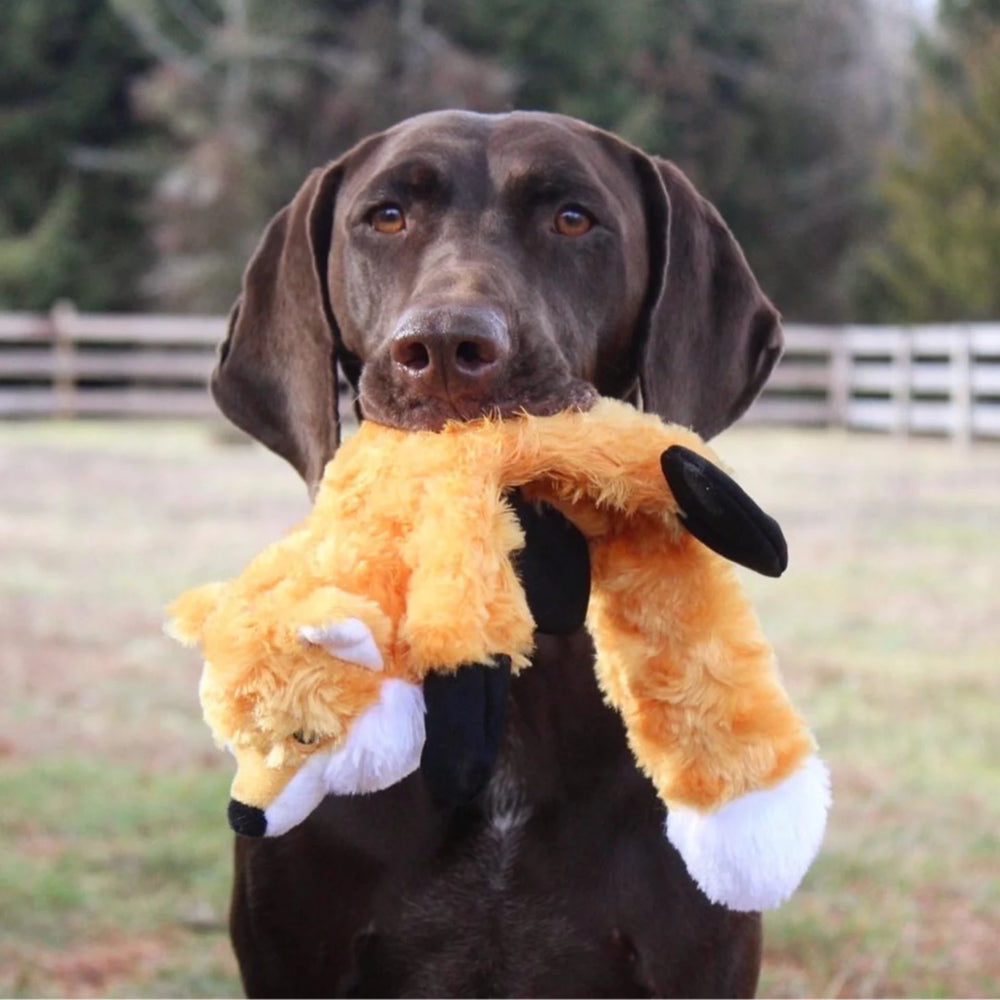 Orvis | Stuffless Fox Dog Toy
