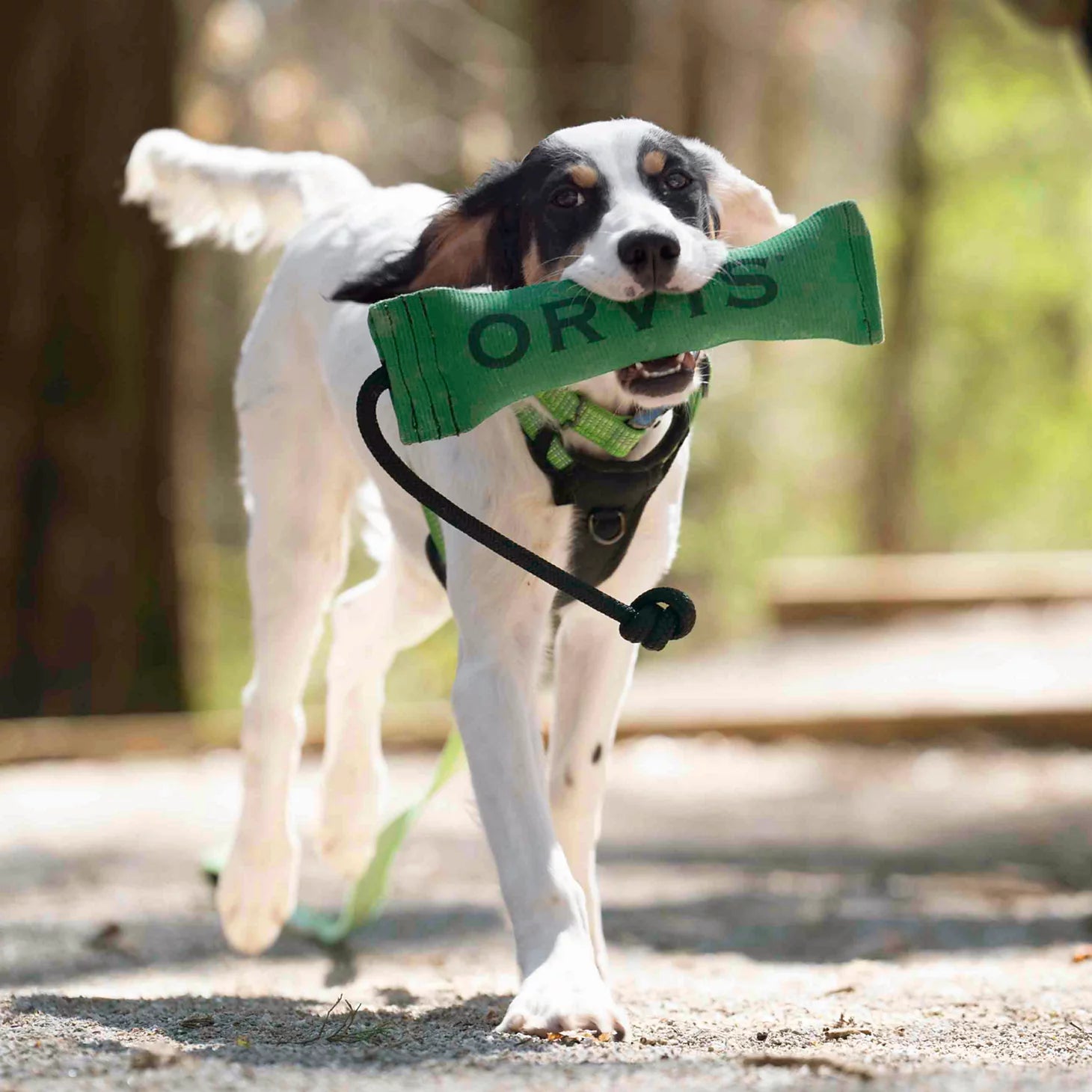 Orvis | Orvis Bumper