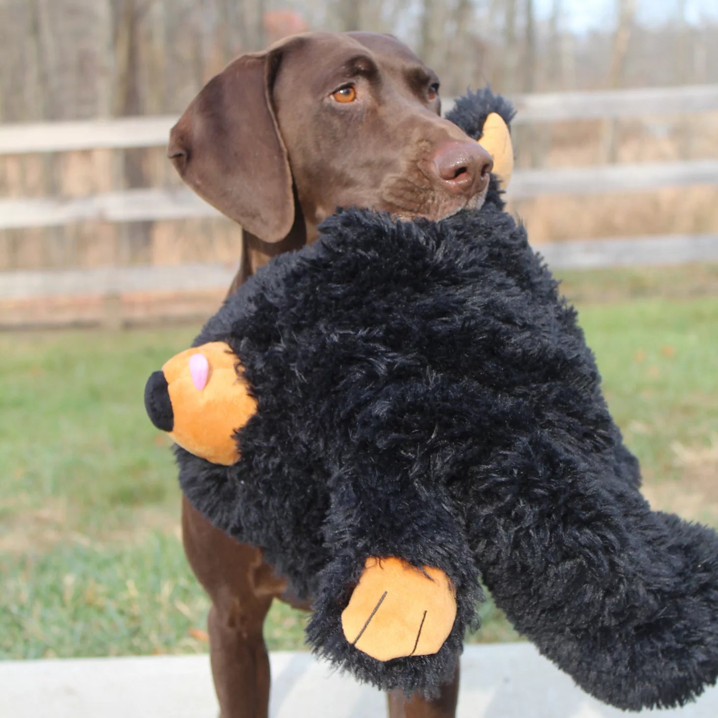 Orvis | Black Bear Rope Dog Toy