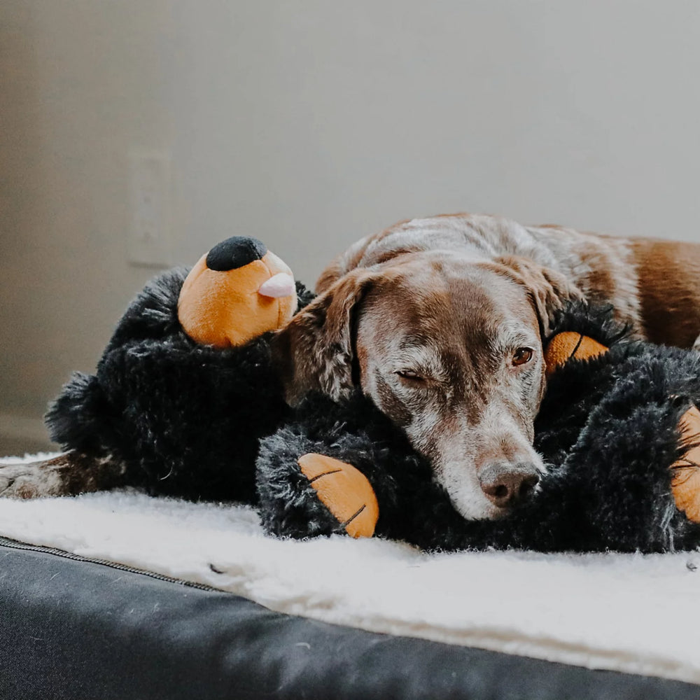 Orvis | Black Bear Rope Dog Toy