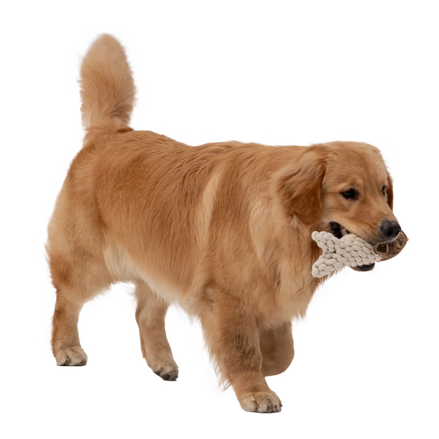 Orvis | Rope Crunch Fish Dog Toy