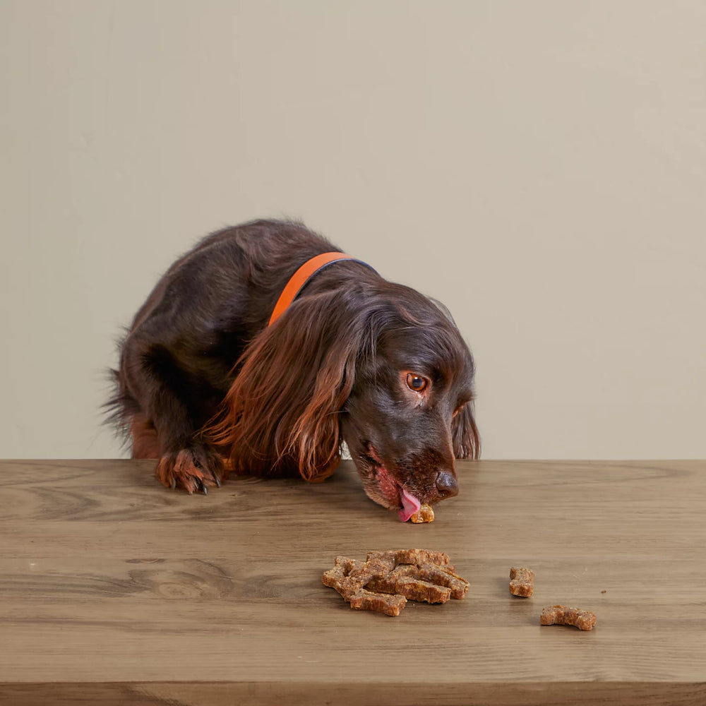 Orvis | Polkadog Green Monstah Bones