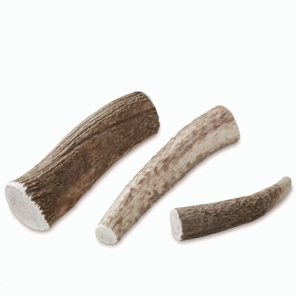 Orvis | Elk Antler Chews