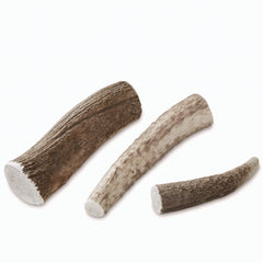 Orvis | Elk Antler Chews