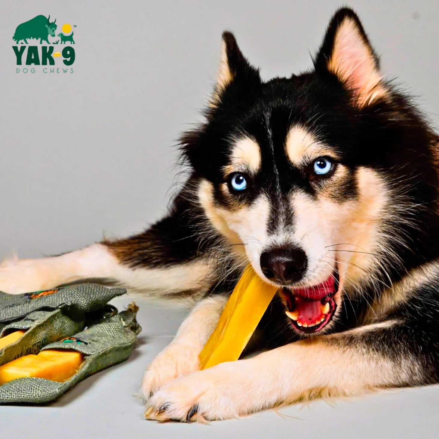 Orvis | Yak-9 Dog Chew - Single