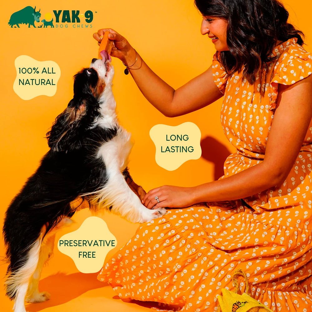 Orvis | Yak-9 Dog Chew - Single