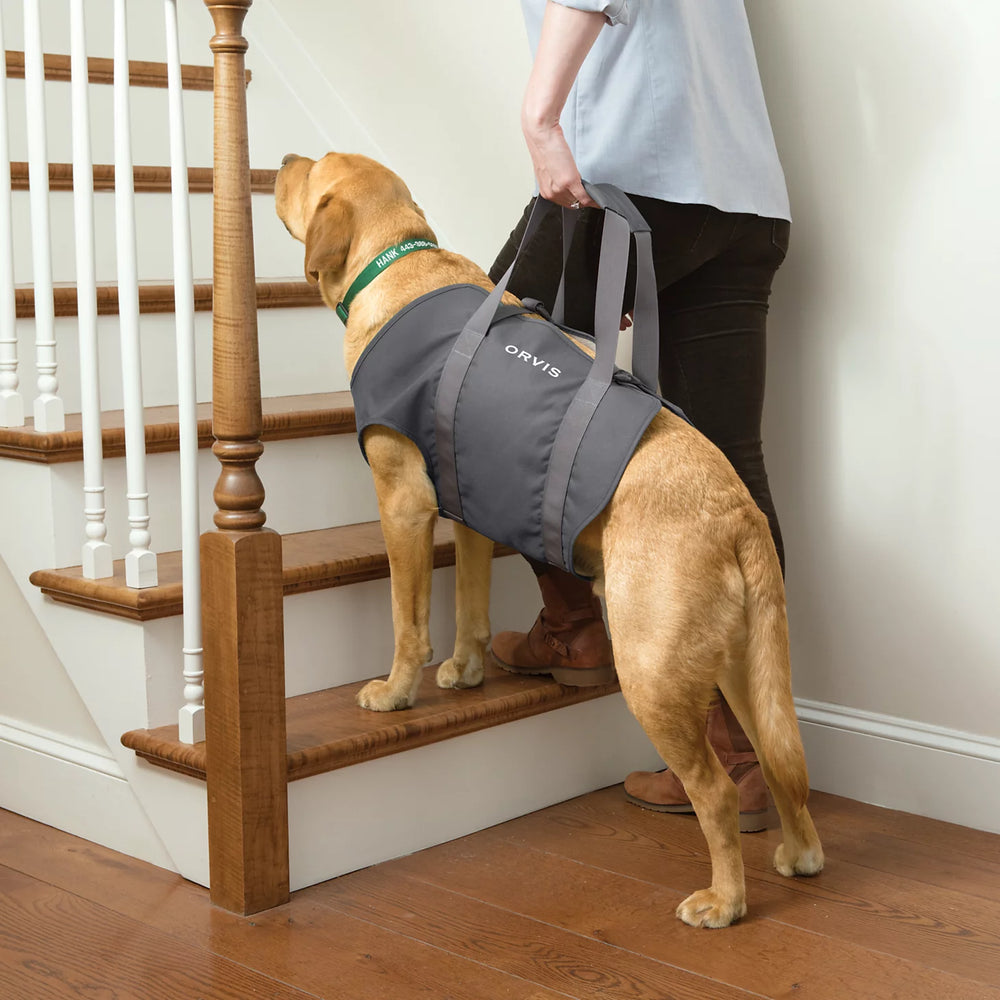 Orvis | Dog Lift