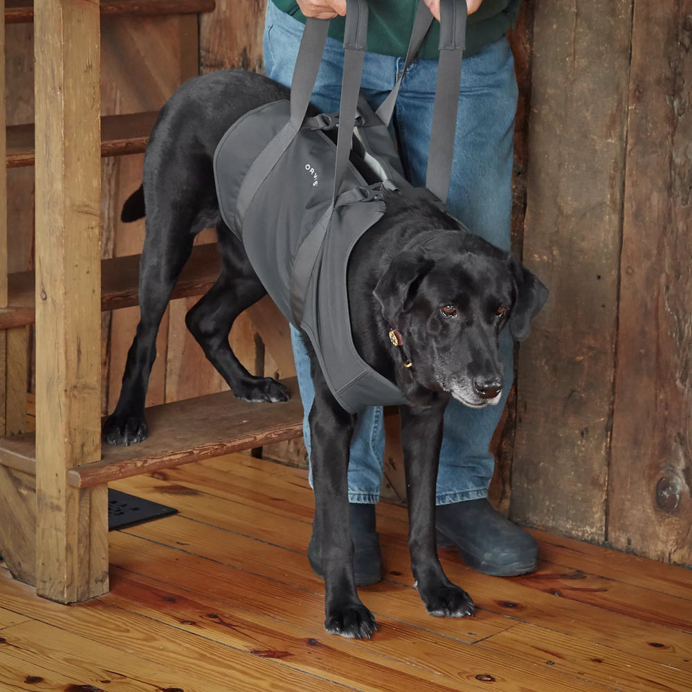 Orvis | Dog Lift