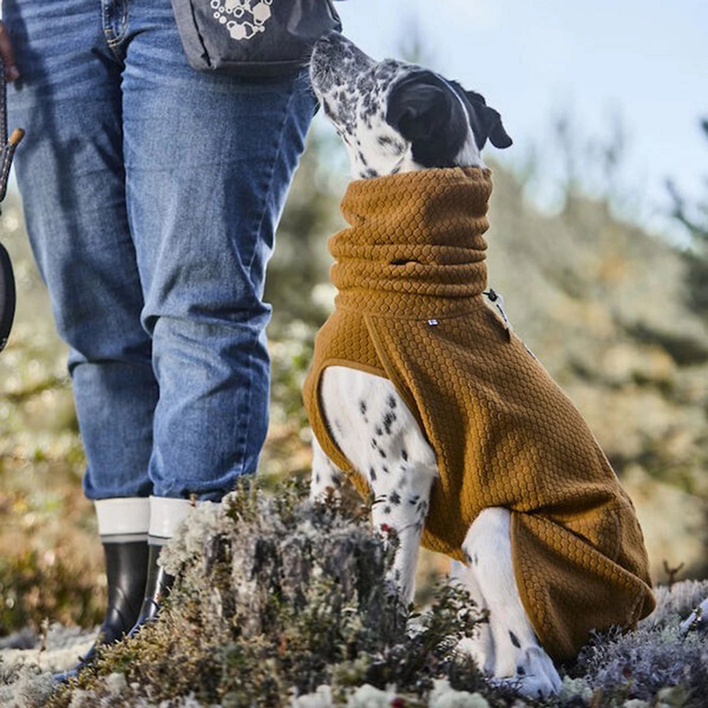 Orvis | Hurtta Warming Midlayer Eco Dog Jacket