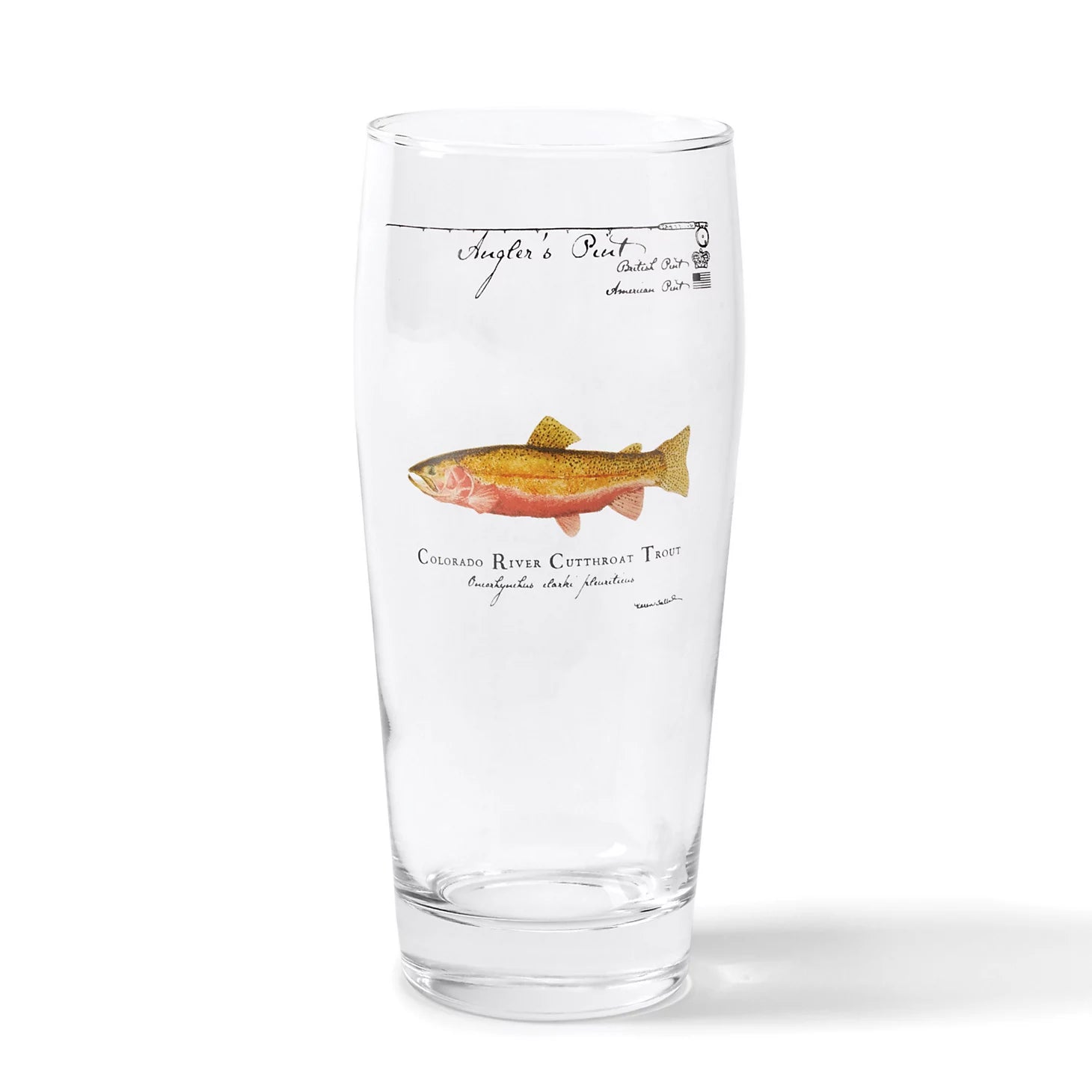Orvis | Angler's Pint Glass